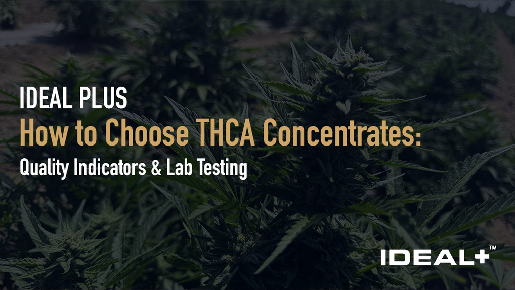 How to Choose THCA Concentrates