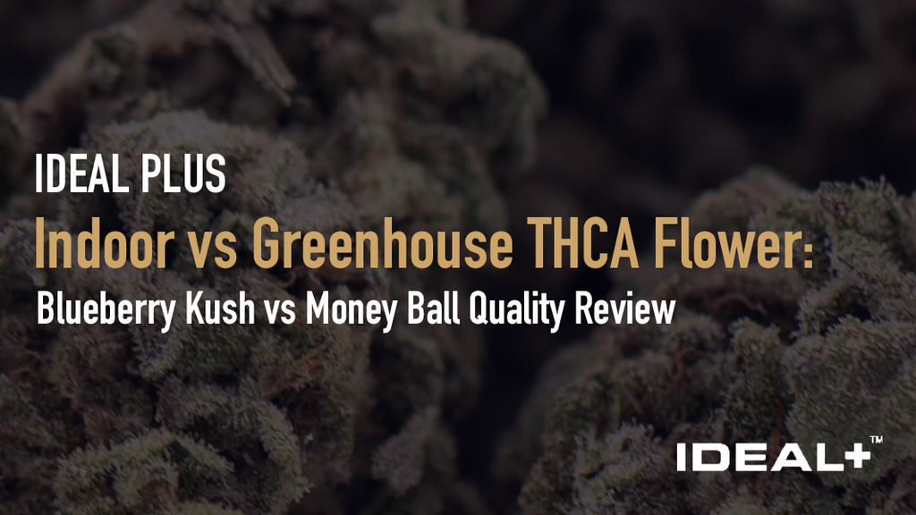 Indoor vs Greenhouse THCA Flower