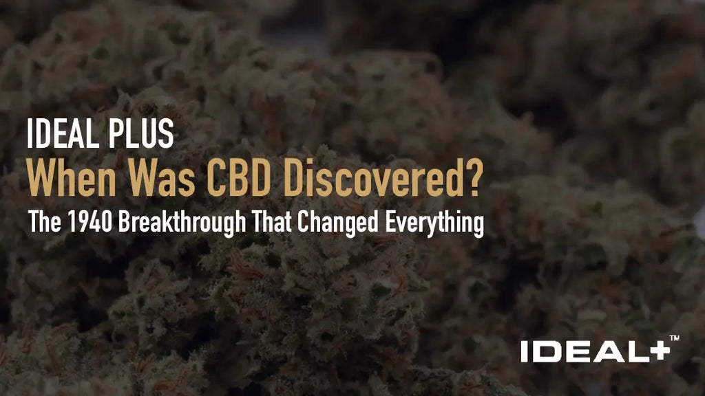 When Was CBD Discovered?