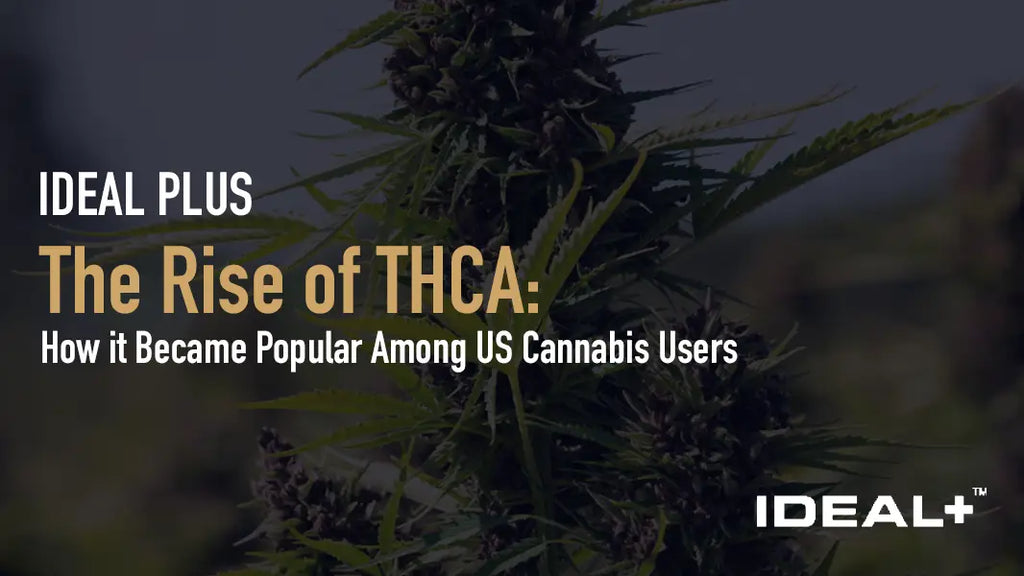 How it Became Popular Among US Cannabis Users