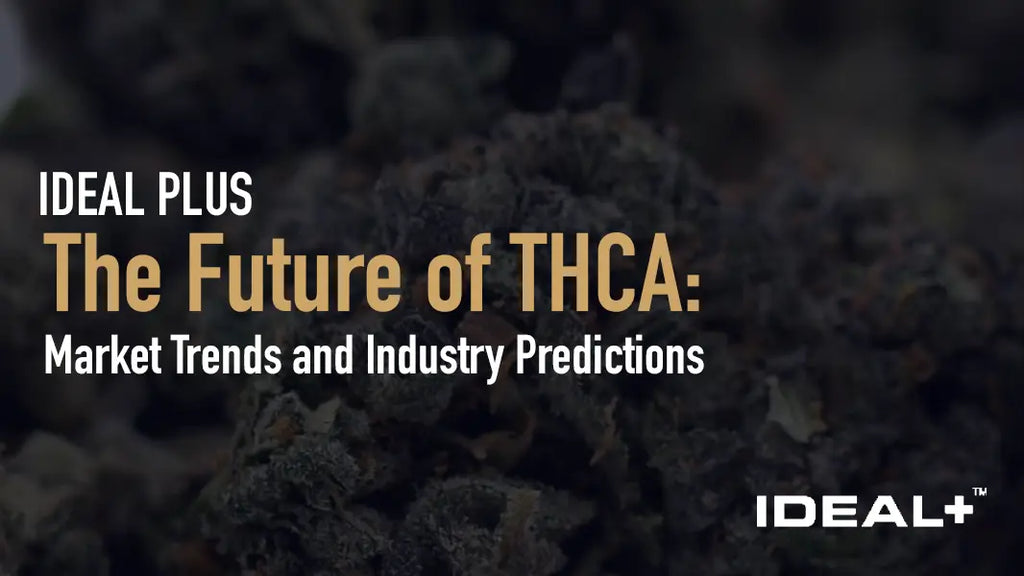 The Future of THCA