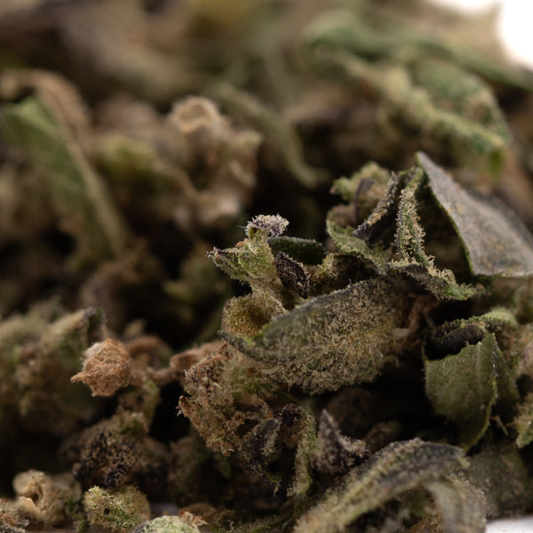 Cream Caramel Full-Term THCa Trim Wholesale