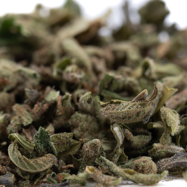 Durban Poison Full-Term THCa Trim Wholesale