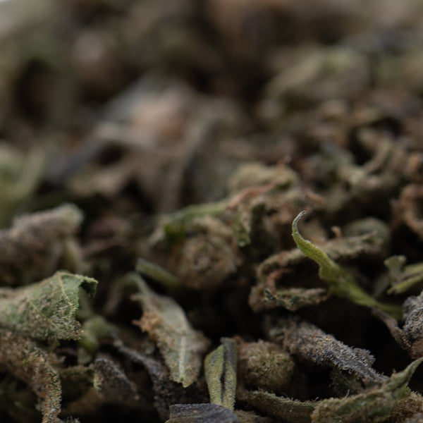 GMO Full-Term THCa Trim Wholesale