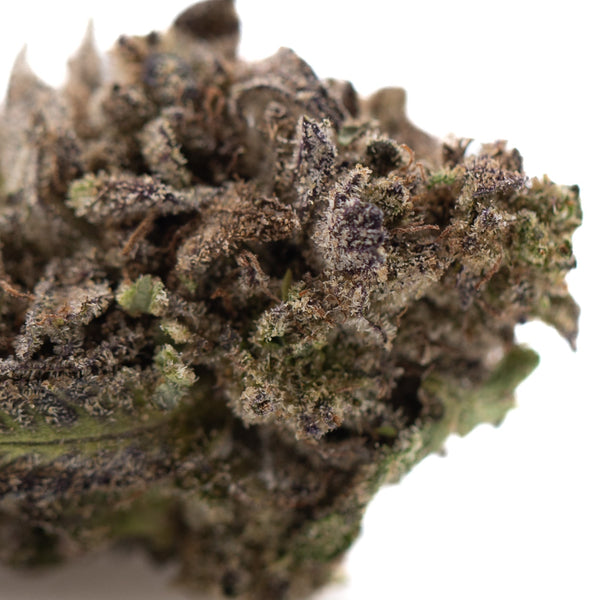 Purple Wedding Cake THCa Hemp Flower Greenhouse Wholesale