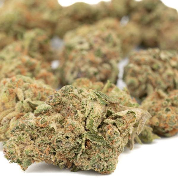 Agent Orange THCa Hemp Flower Greenhouse - Plants