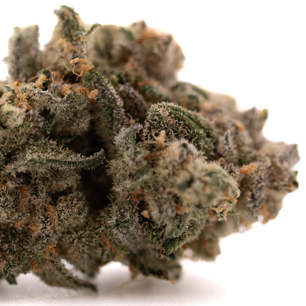 Dense Blue Dream THCa flower with trichomes showcasing premium hemp flower quality