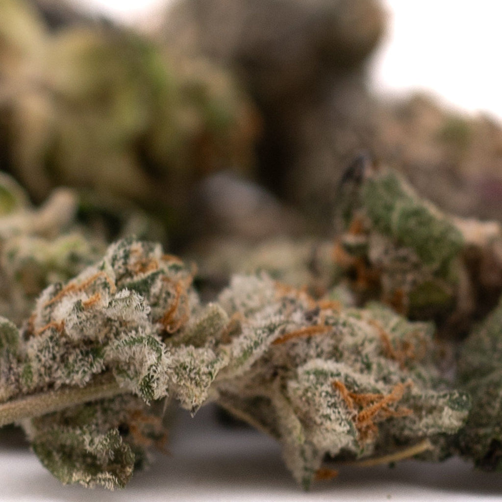 Trichome-covered cannabis buds from Blue Heron Orchard Swirl THCa Flower Smalls