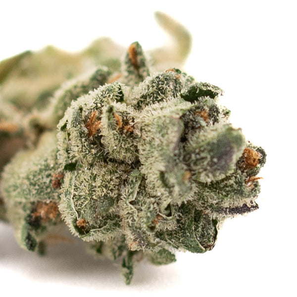 Trichome-covered cannabis bud of Butter OG Indoor THCa Flower Smalls showcasing premium quality