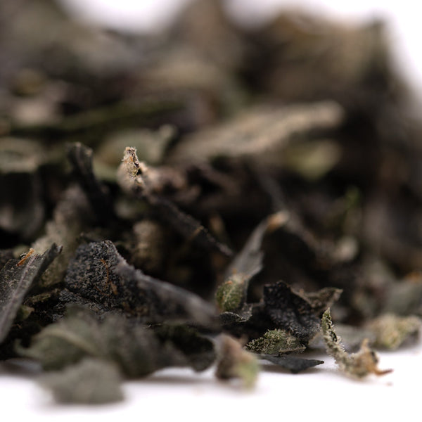 Close-up of dried tea leaves with green and brown shades for Cake Batter Indoor Trim Wholesale