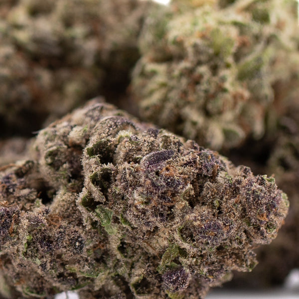 Cali Burger THCa hemp flower bud with purple green trichomes, woody pine aroma