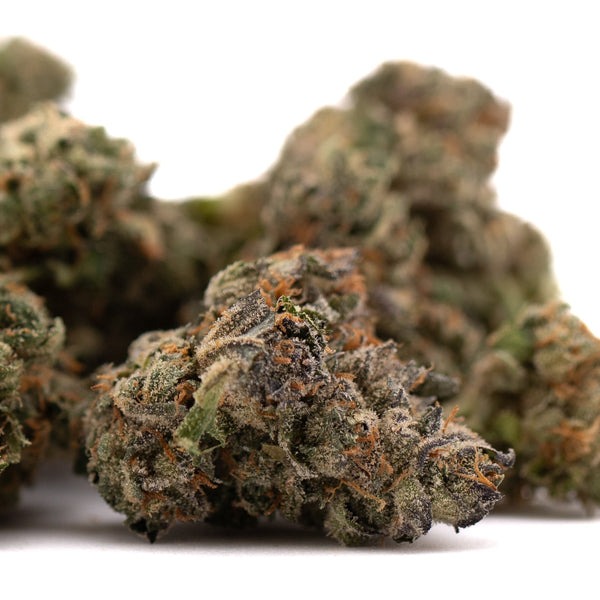 Dried cannabis flower buds from Canal Street Runtz Indoor THCa Flower product