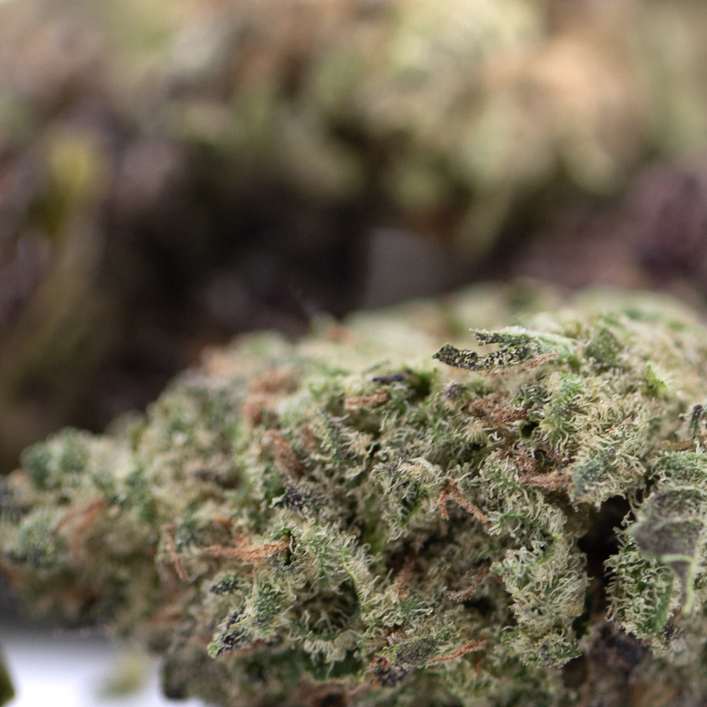 Green and purple Daily Grape hemp flower bud with trichomes