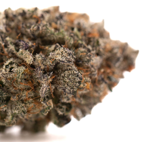 Dense cannabis bud with trichomes from GAS Indoor THCa Flower, premium indoor THCa strain
