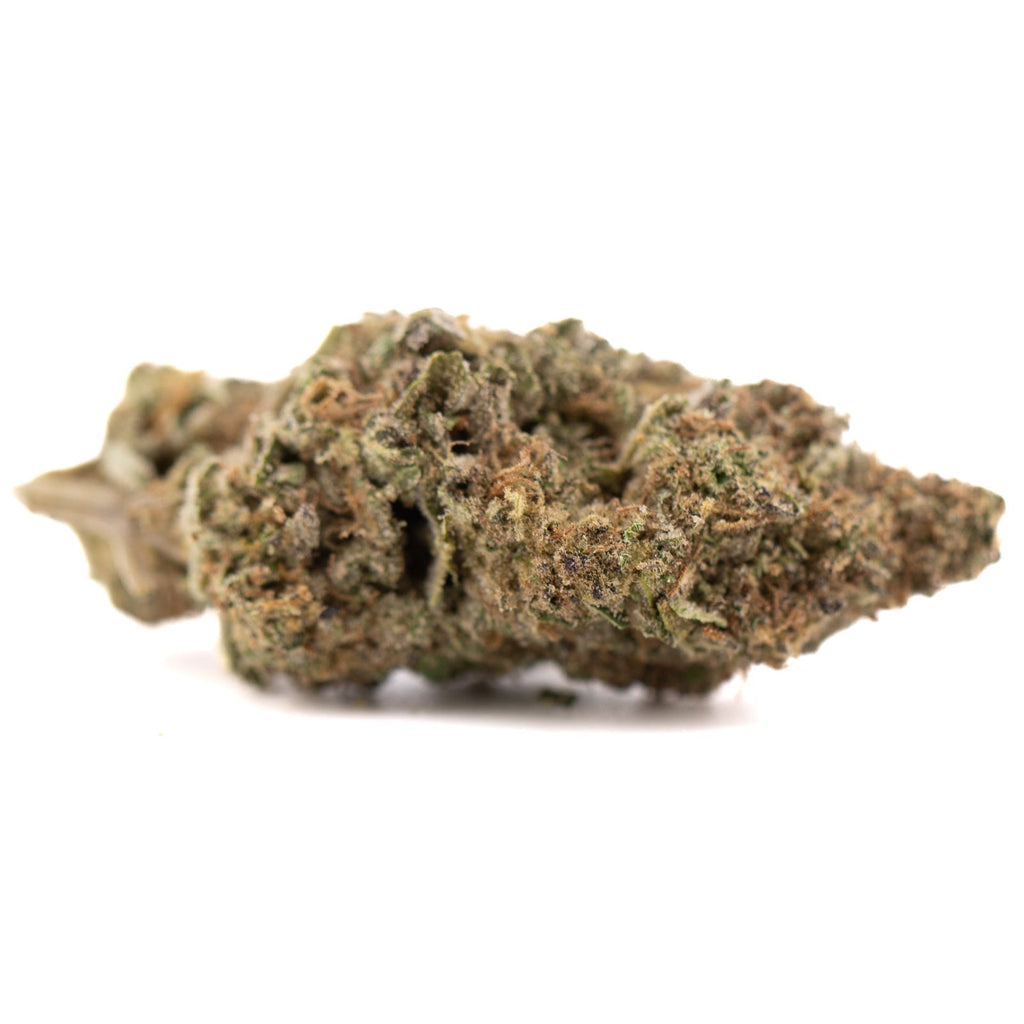 Green cannabis bud with trichomes and leaves from Government Oasis hemp flower collection