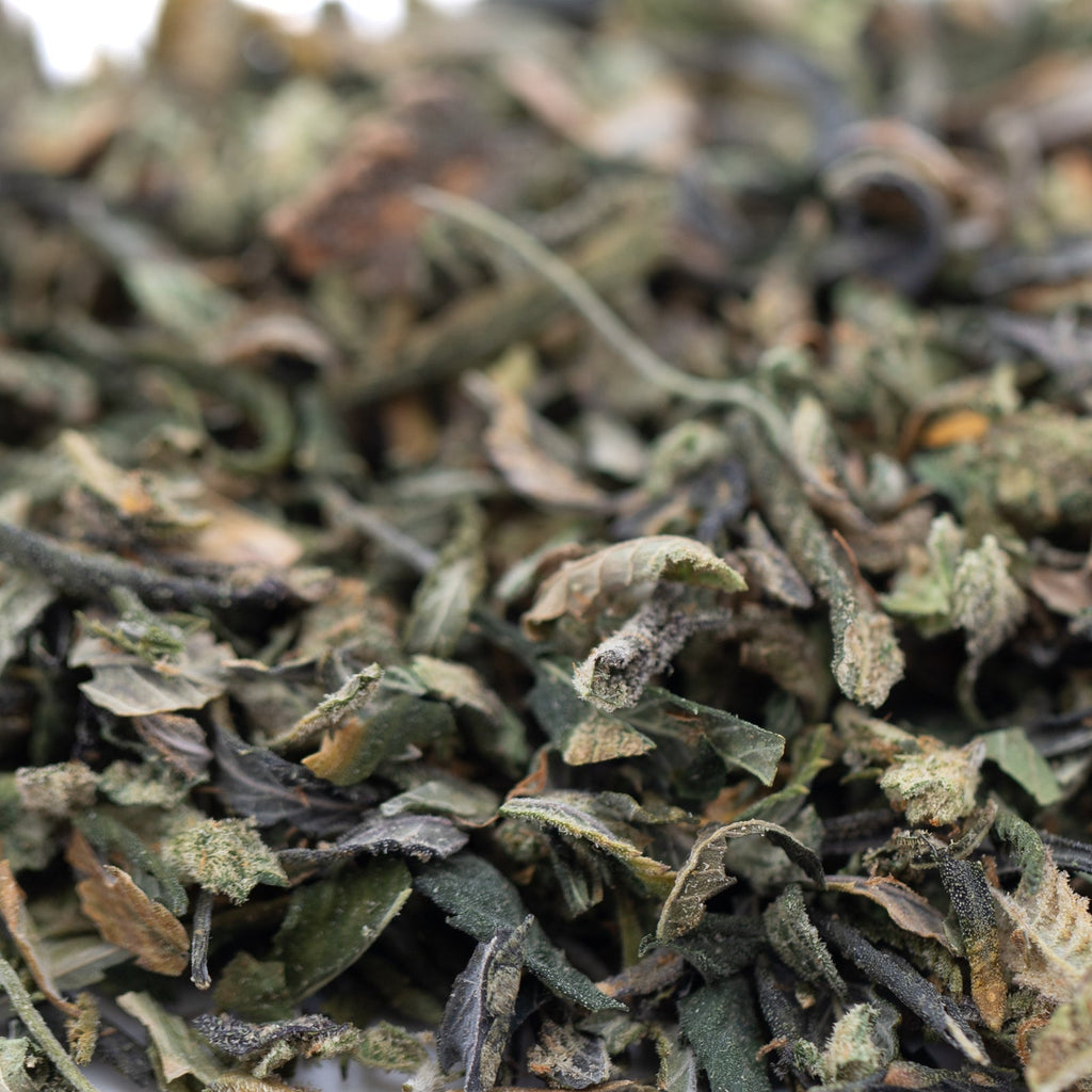 Huckleberry Diesel THCa trim with dried green tea leaves blend