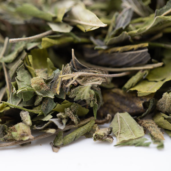 Joker OG Greenhouse THCa trim herbal tea with green leaves, sour diesel energizing effects