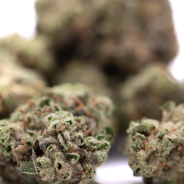 Joker OG THCa hemp flower greenhouse smalls with green, brown hues and white trichomes