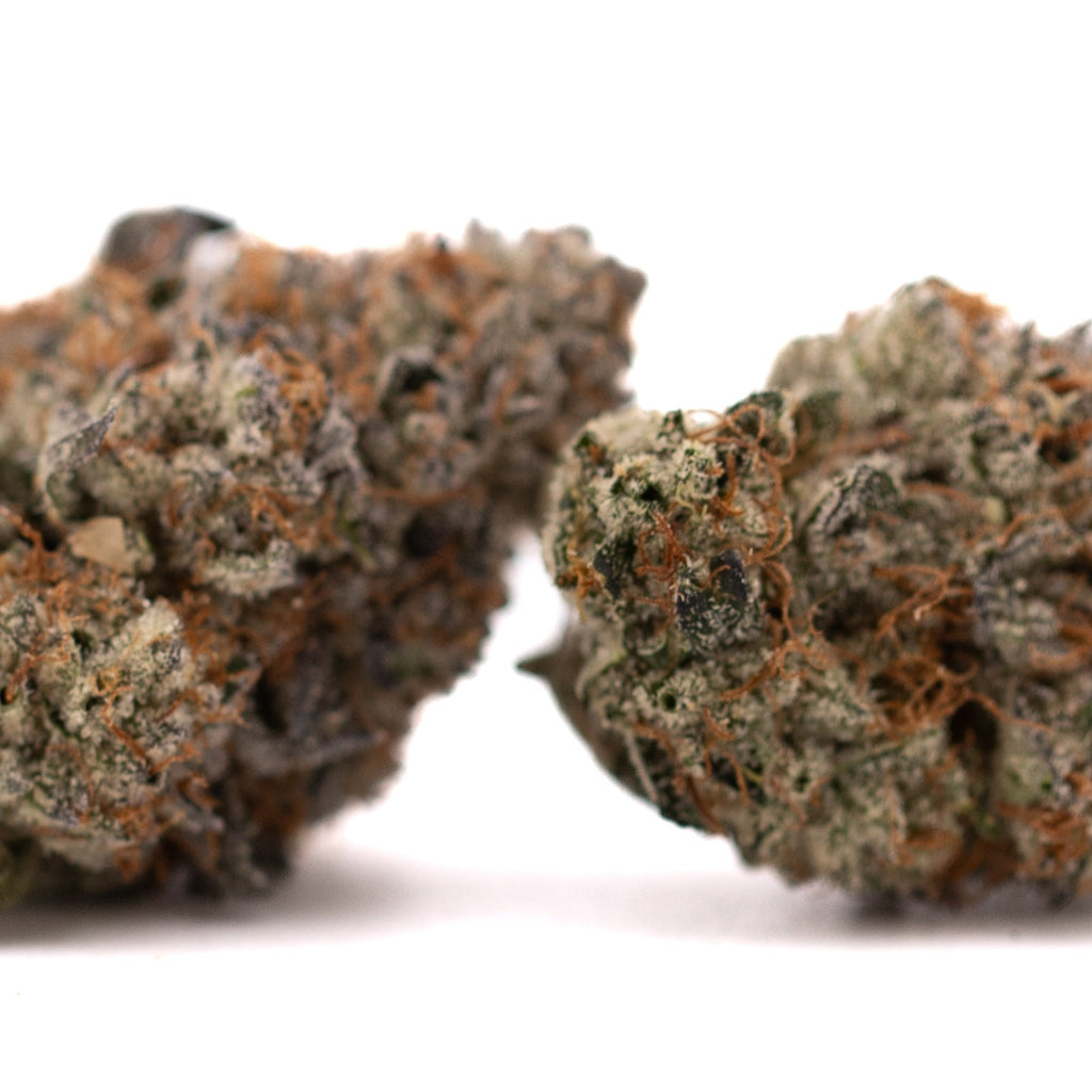 Jokerz Candy hemp flower with dense trichome-rich buds and orange pistils