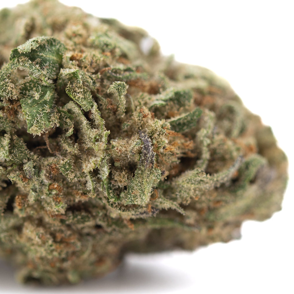 Jokerz Candy THCa hemp flower: green OG Kush sativa bud with white trichomes