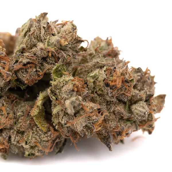 Dense Lemon Cherry Gelato indoor cannabis flower with trichomes for wholesale sale