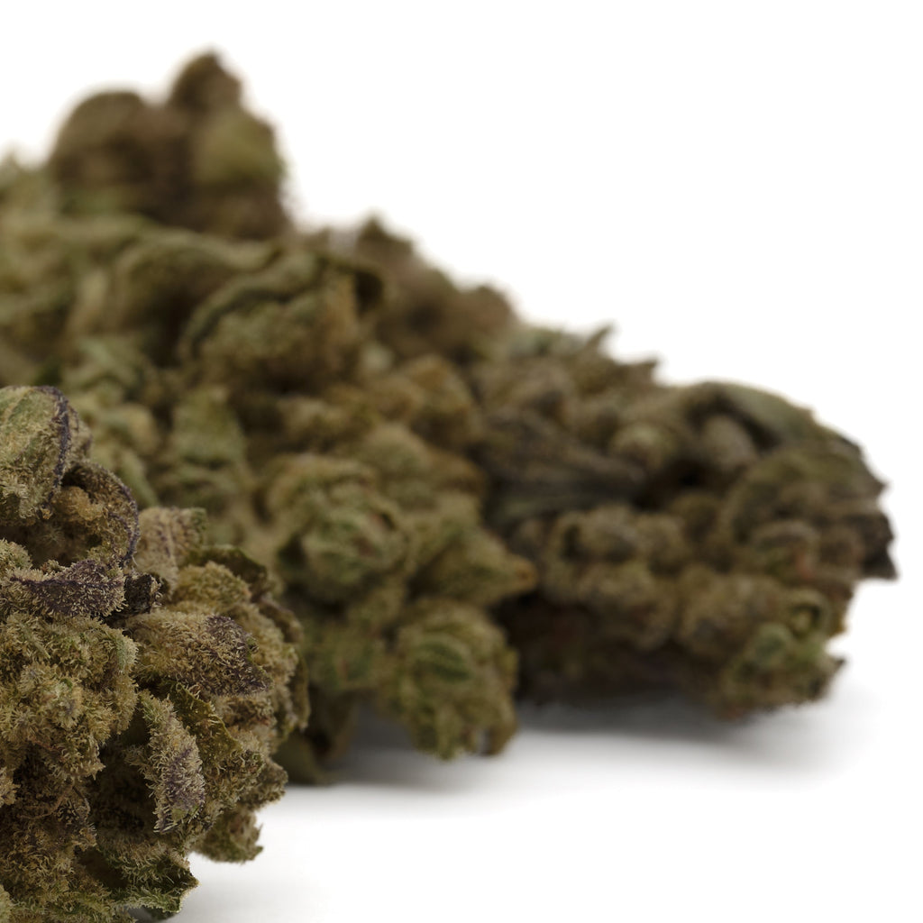 Dried green and brown Lemon Cherry Gelato hemp flower buds for wholesale sale