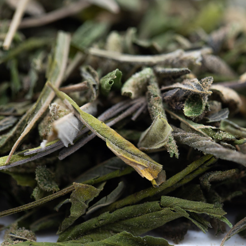 Dried sage leaves in Lung Buster hemp flower tea blend