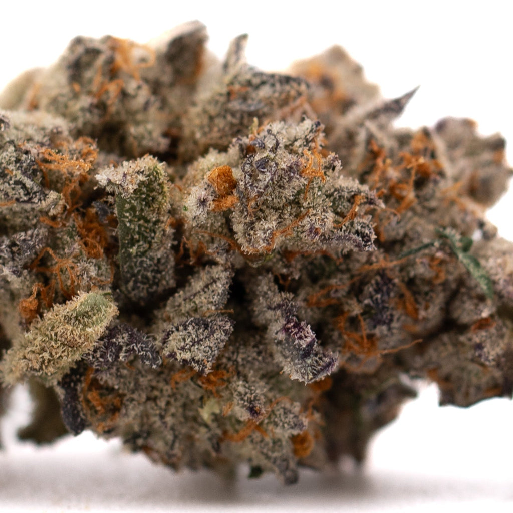 Money Ball Indoor THCa Flower hemp flower with dense cannabis bud and orange pistils