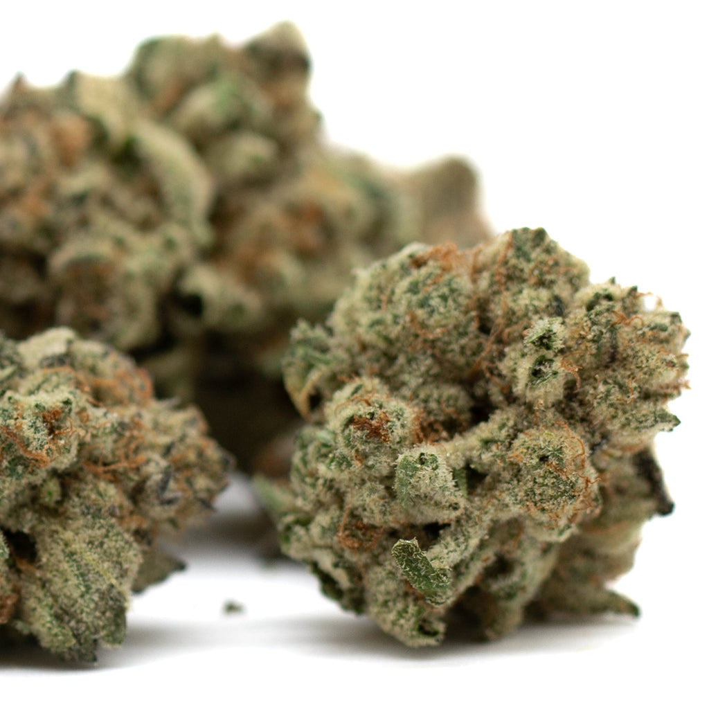 Dense cannabis buds of Moroccan Peaches Indoor THCa Flower for premium hemp flower enthusiasts