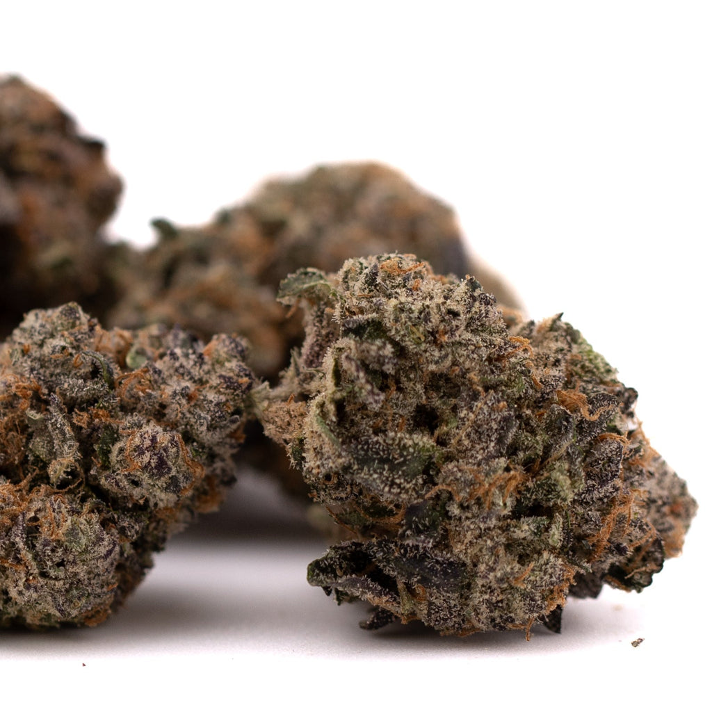 Dense Oregon Lemons THCA Flower cannabis buds for premium hemp flower experience