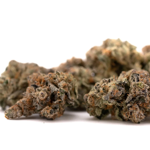 Pile of Raspberry Runtz indoor THCa flower hemp buds for wholesale cultivation