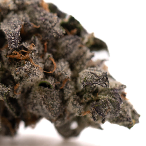Dense cannabis bud from Rose Gold Runtz Indoor THCa Flower showcasing rich gold runtz flavor