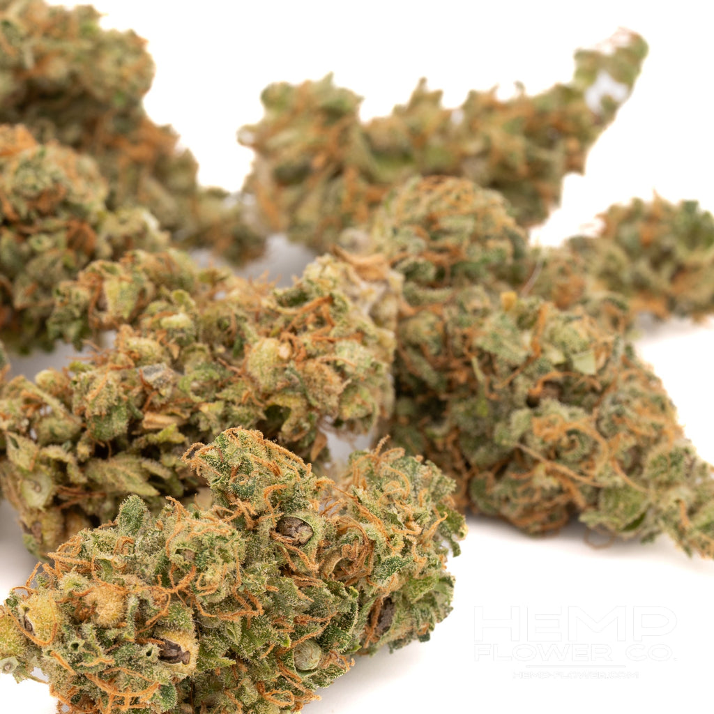 Dried hemp flower buds from Rose Gold Runtz Indoor THCa Flower Wholesale