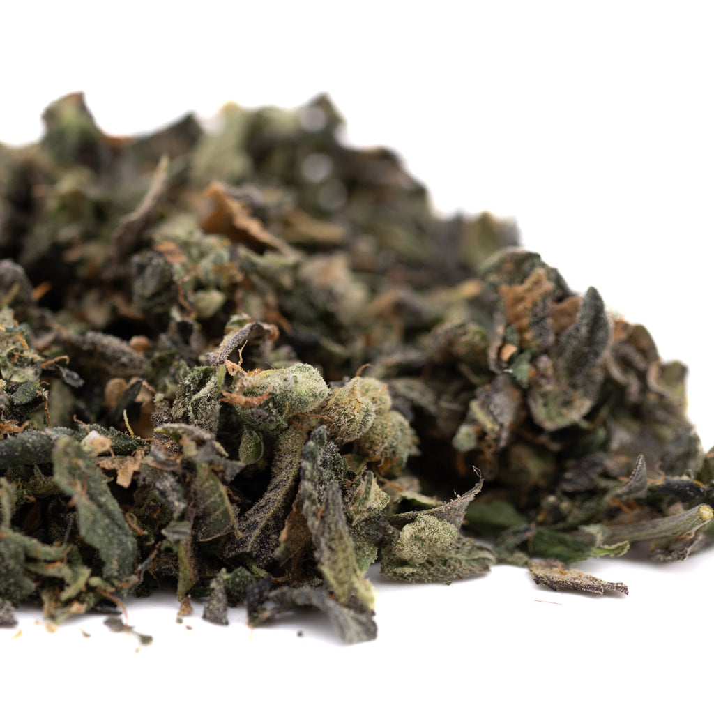 Dried green tea leaves from Sour Garlic Indoor Trim Wholesale 1LB for premium THCA trim