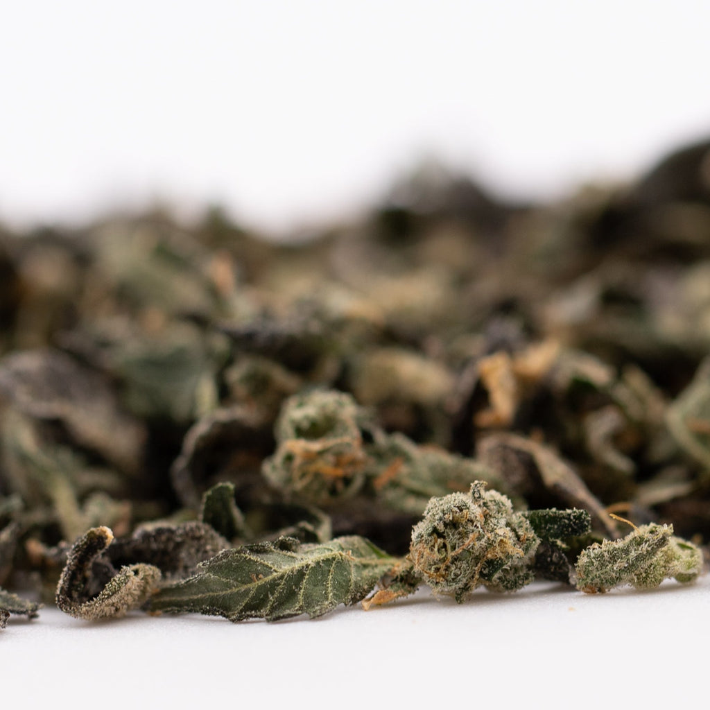 Dried green tea leaves from Sour Runtz THCA trim Hemp Flower wholesale 1LB