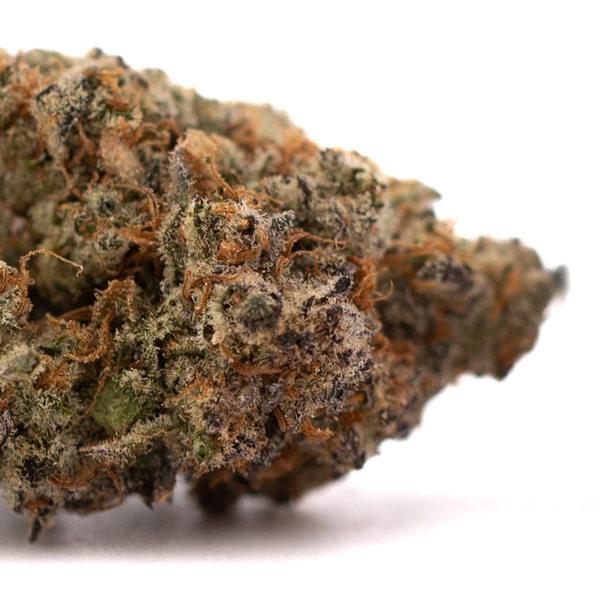 Dense Super Runtz cannabis bud with visible trichomes from Orchard Swirl Synergy indoor flower