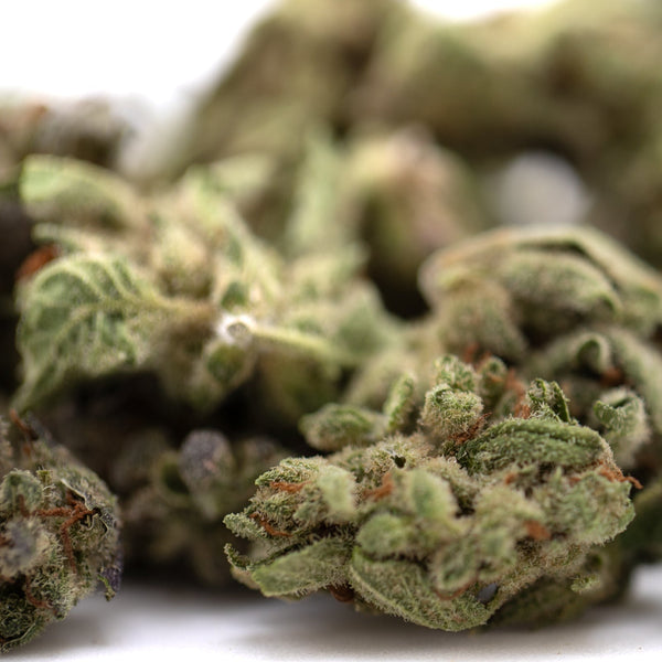 Premium Top Gun THCa Flower Smalls: green bud with white trichomes