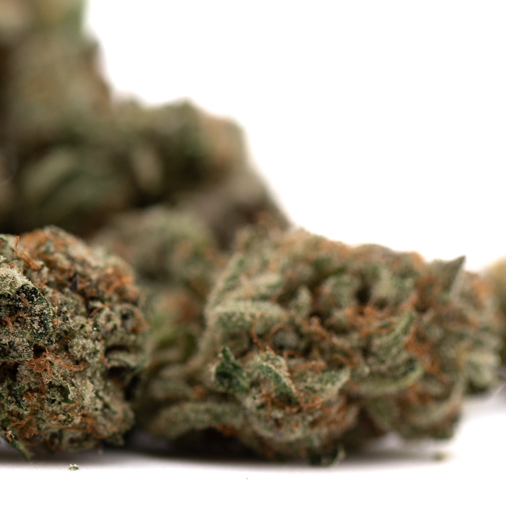 Tropical Punch THCa Flower Smalls with lush hemp flower buds and visible trichomes