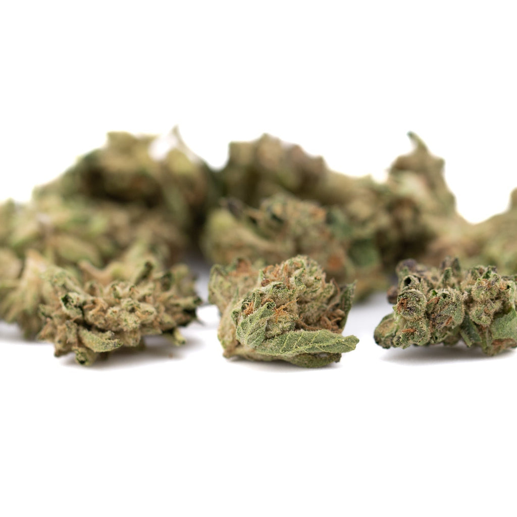 Dried White Runtz THCa Hemp Flower buds for wholesale, premium cannabis flower