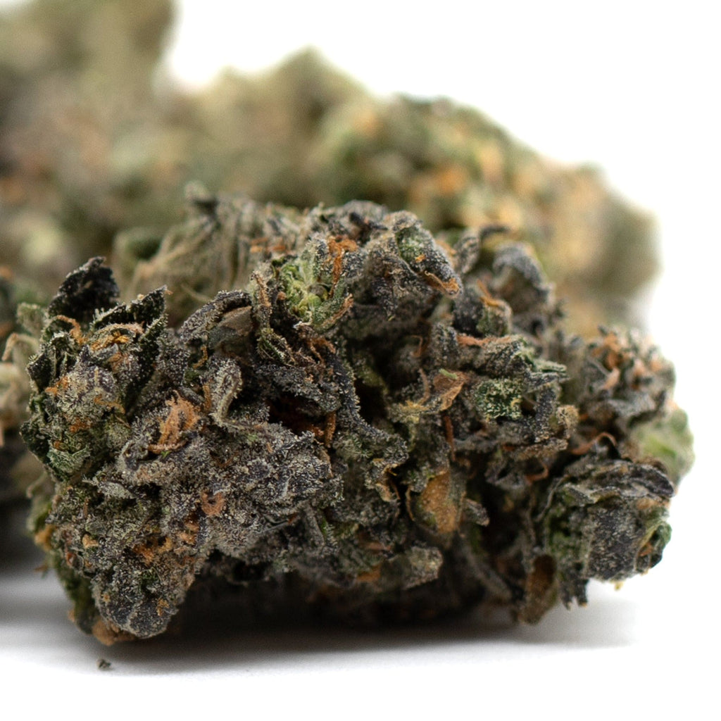 Dense Zkittlez Indoor THCa Flower with trichomes showcasing premium hemp flower quality